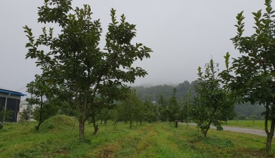 2018년 농장전경